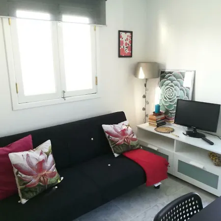 公寓 Estudio De Plaza Del Carmen